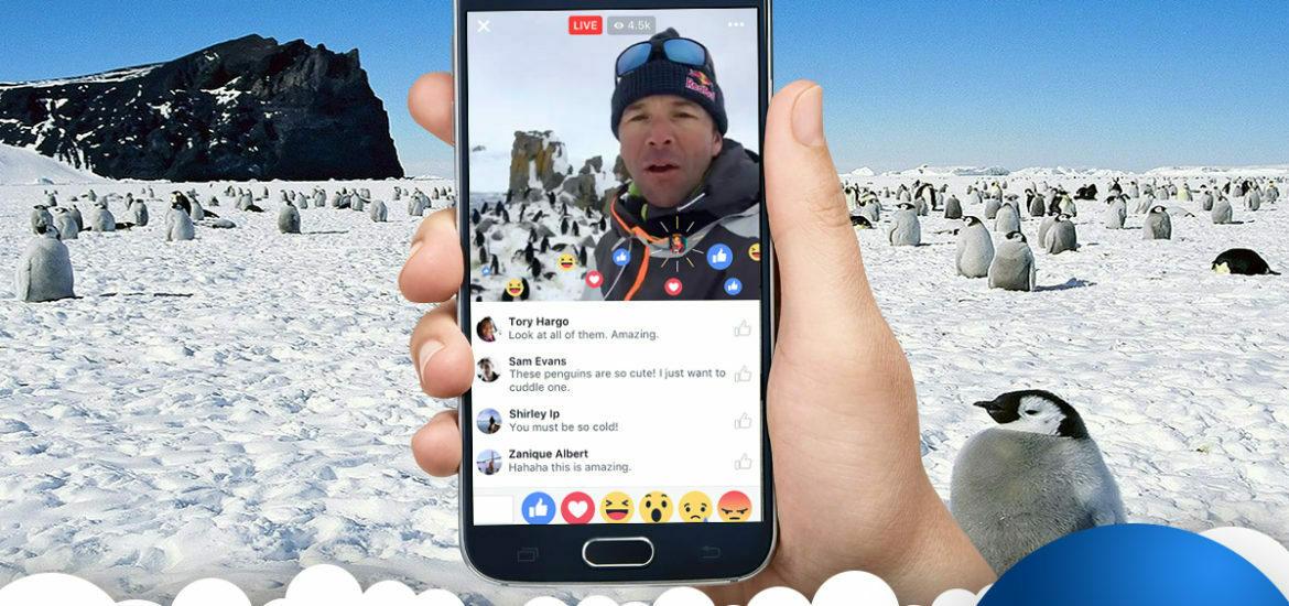 How To Create a Professional Live Stream With Your Phone