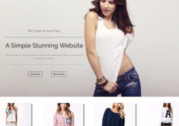 Online Store Using WordPress